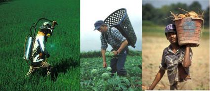 Ouvriers-Agricoles.png